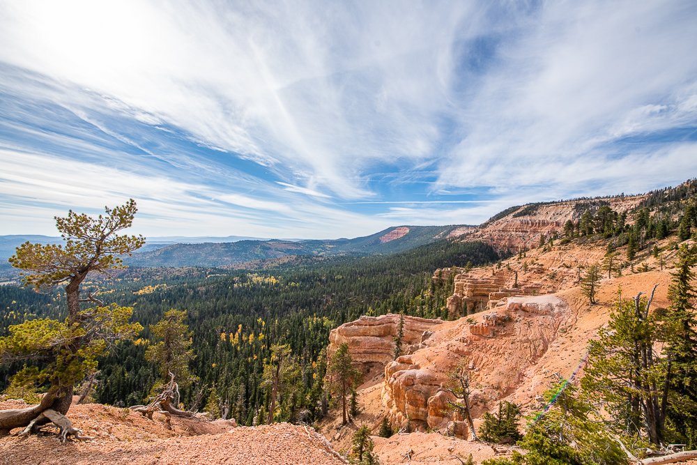 Virgin River Rim Trail