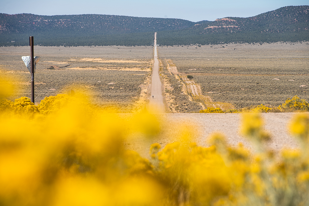 BWR Cedar City